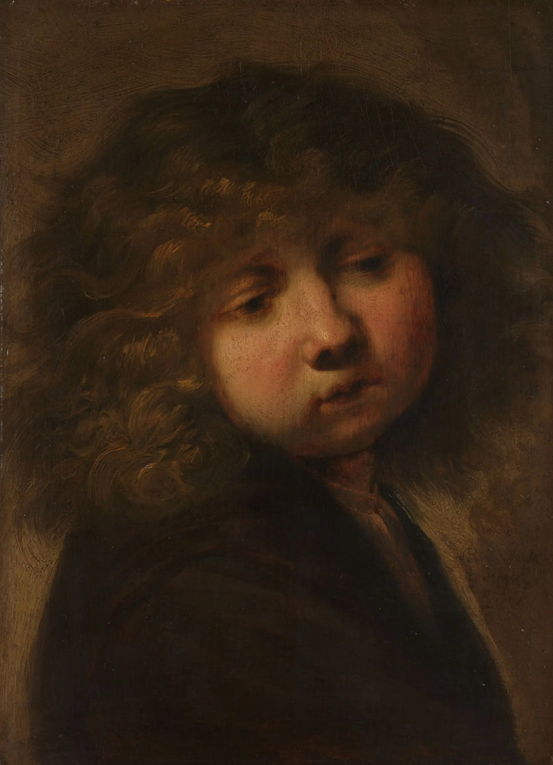Head of a Boy - Rembrandt