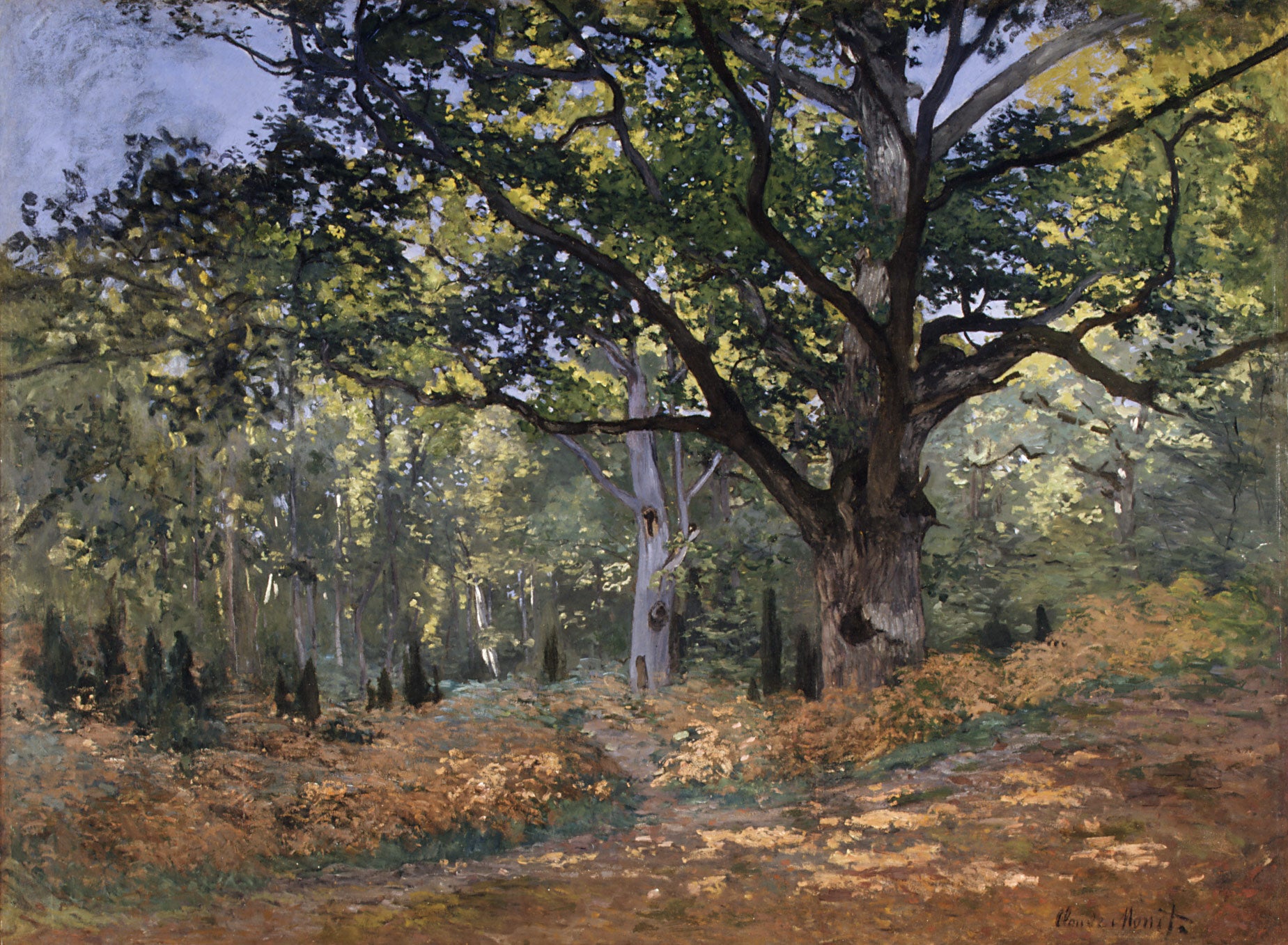 The Bodmer Oak, the Chailly Road - Claude Monet