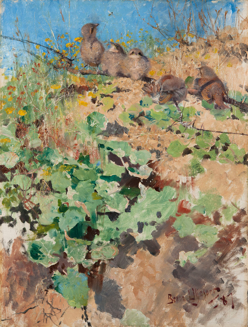 Red-backed Shrike Nests - Bruno Liljefors