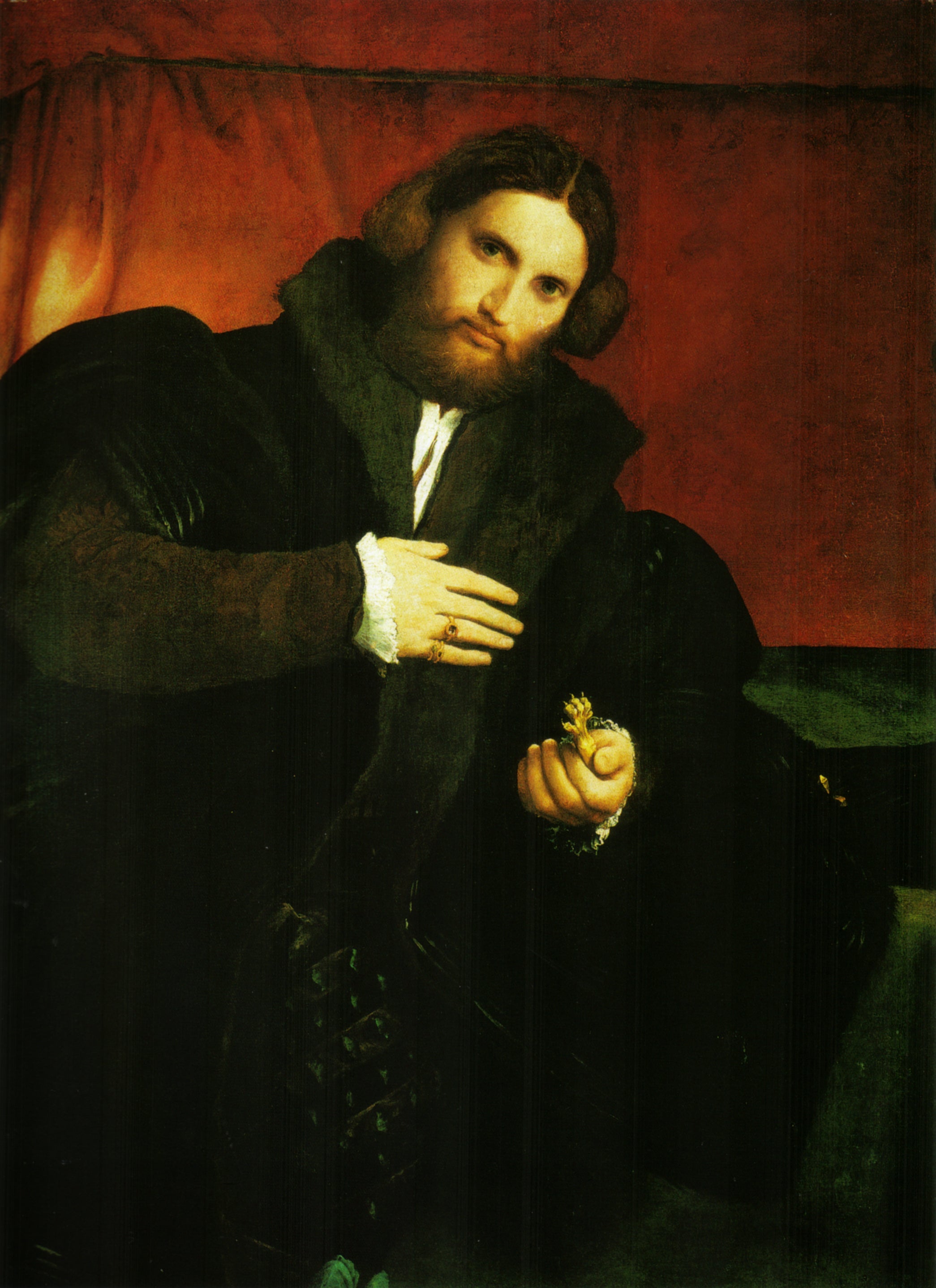 Portrait d’un gentilhomme à la patte de lion - Lorenzo Lotto - Alpha Reproduction