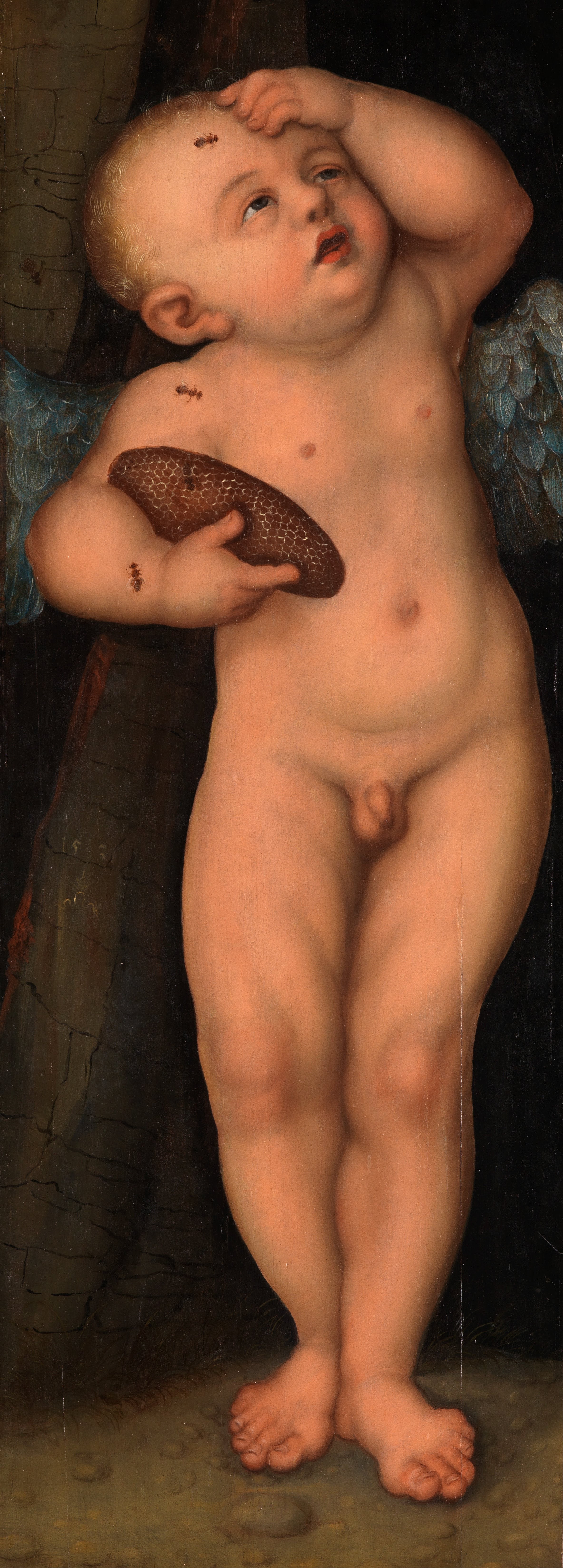 Cupidon comme voleur de miel - Lucas Cranach the Elder - Alpha Reproduction
