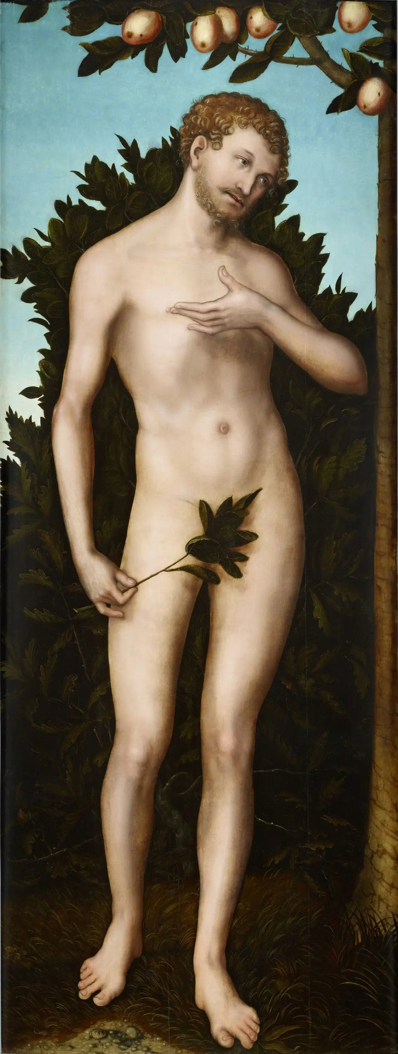 Adam - Lucas Cranach the Elder