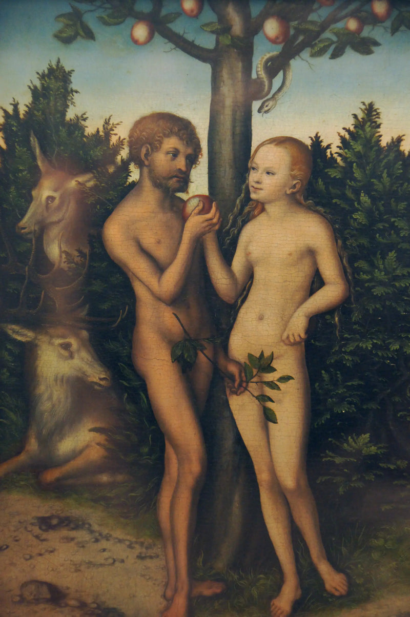 Adam and Eve - Lucas Cranach the Elder