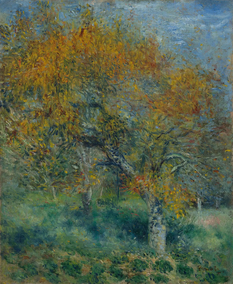 The Pear Tree - Pierre-Auguste Renoir