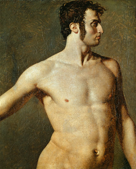 Male Torso - Jean-Auguste-Dominique Ingres