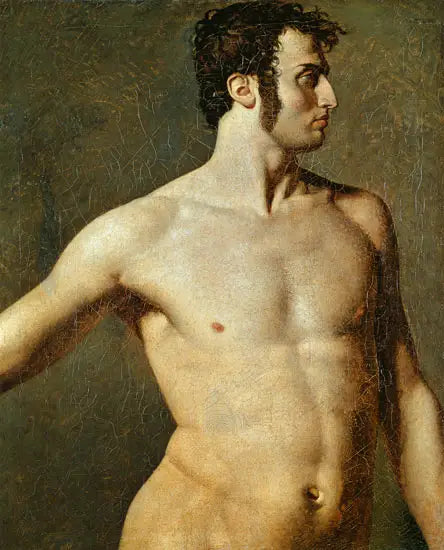 Male Torso - Jean-Auguste-Dominique Ingres