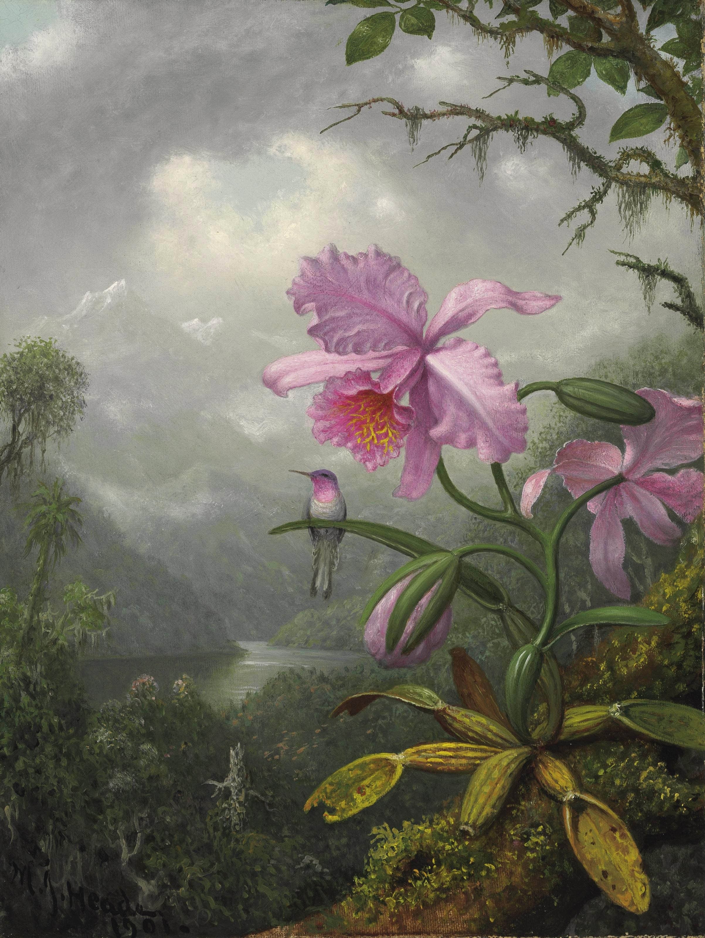 Colibri perché sur la plante d'orchidée - Martin Johnson Heade