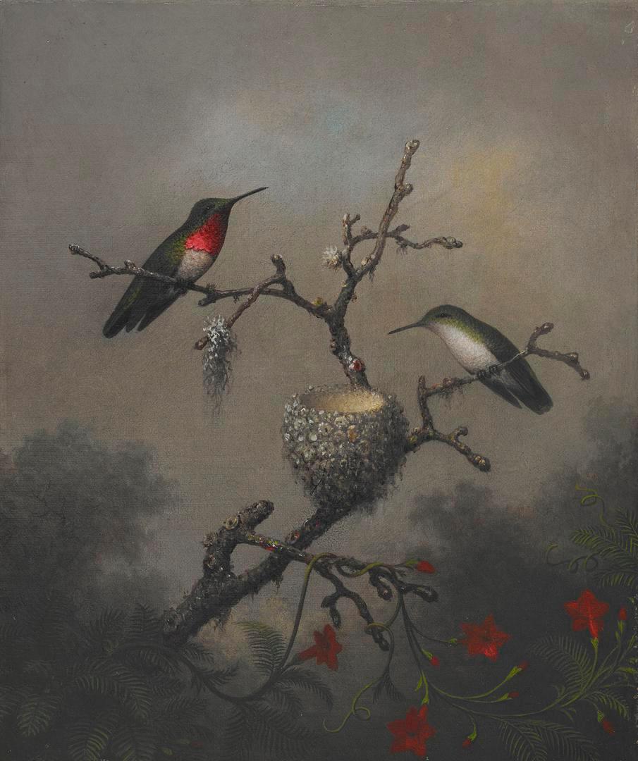 Colibri à gorge rubis - Martin Johnson Heade