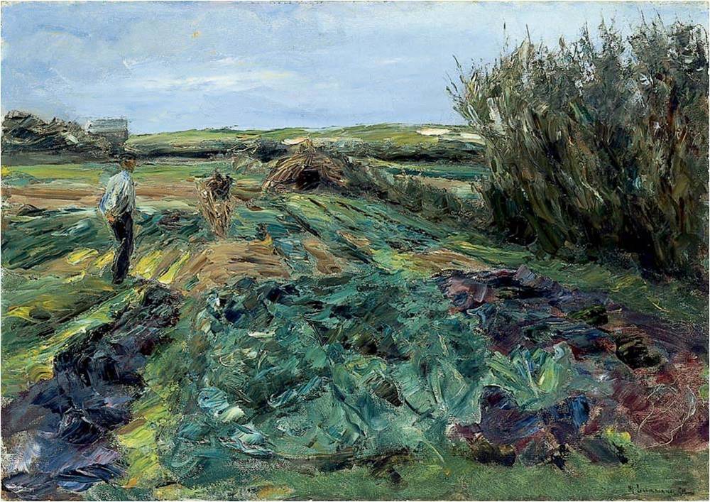The Cabbage Field (Cabbage Field in Noordwijk) - Max Liebermann