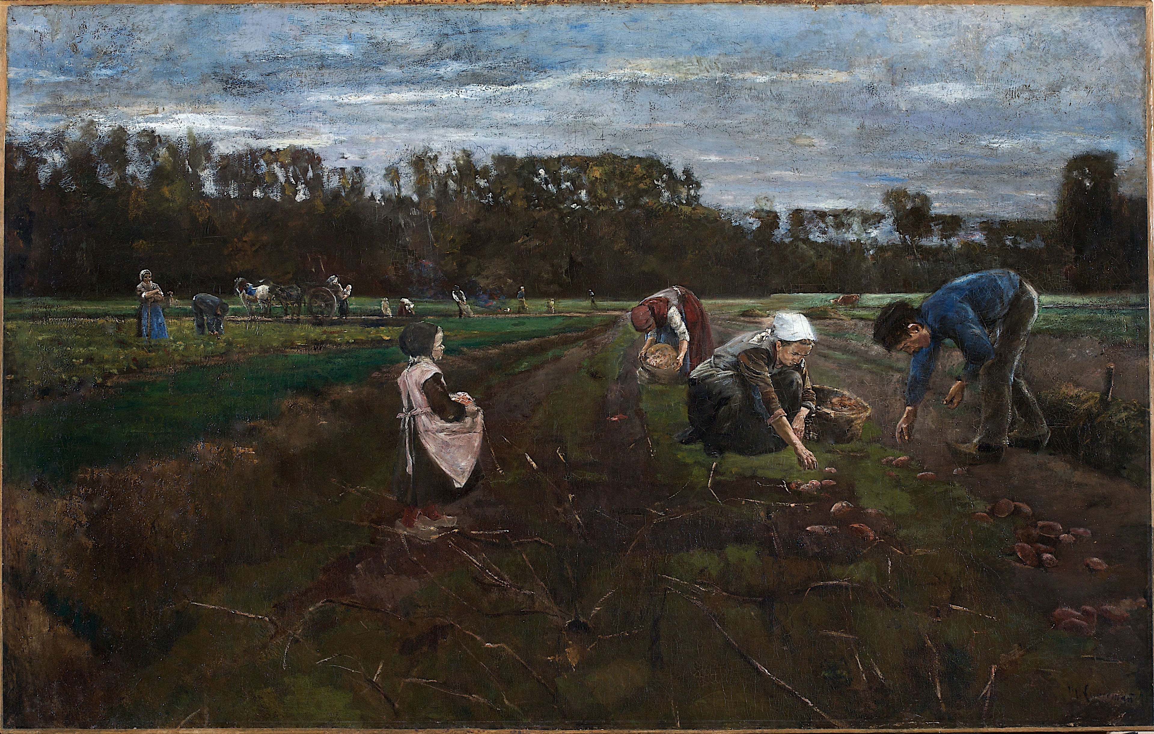 Récolte de pommes de terre - Max Liebermann