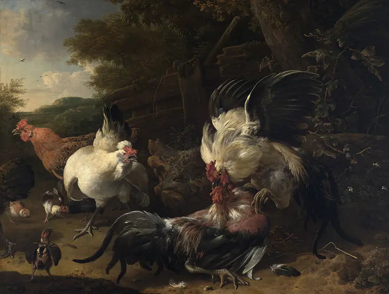 Cockfights - Melchior de Hondecoeter