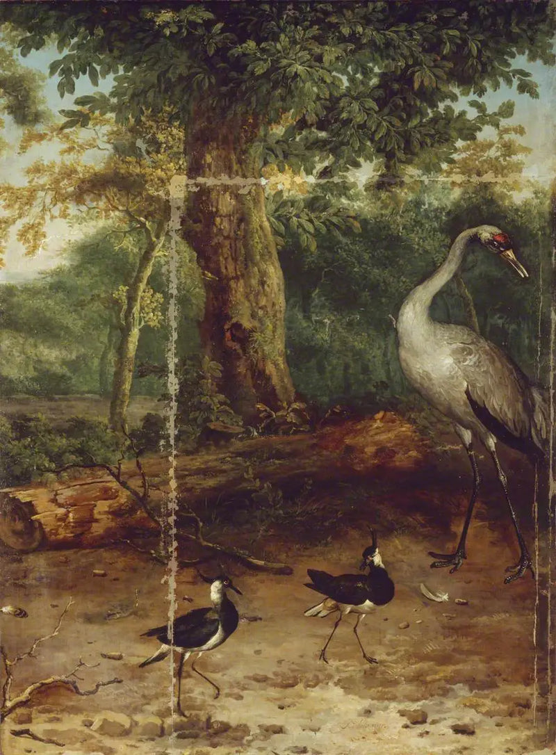 Birds in a Wood - Melchior de Hondecoeter