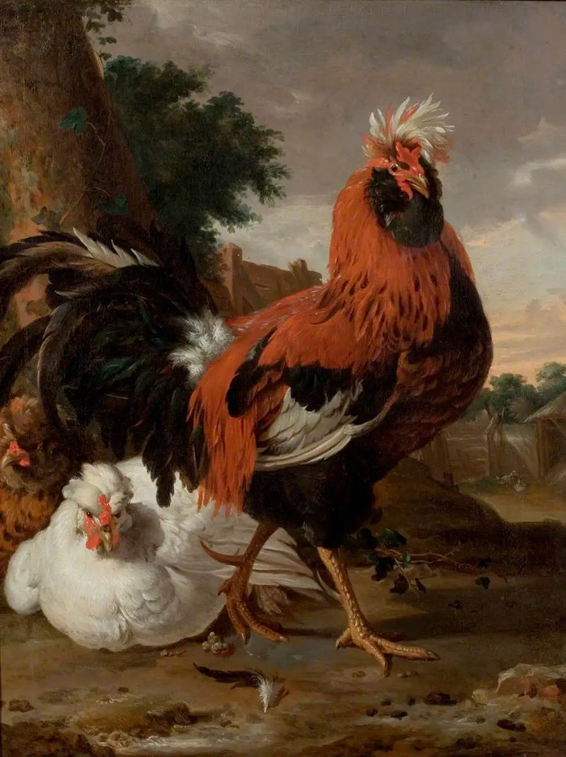 Poultry - Melchior de Hondecoeter