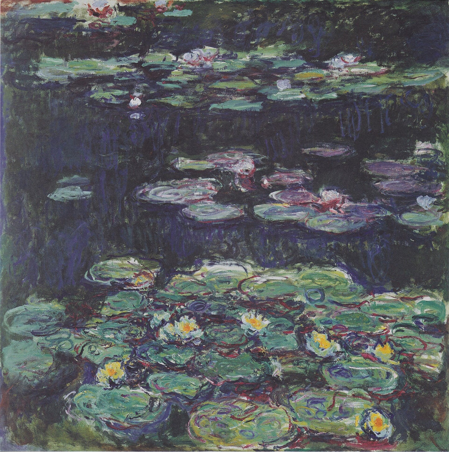 🎨 Water Lilies – White and Yellow Flowers