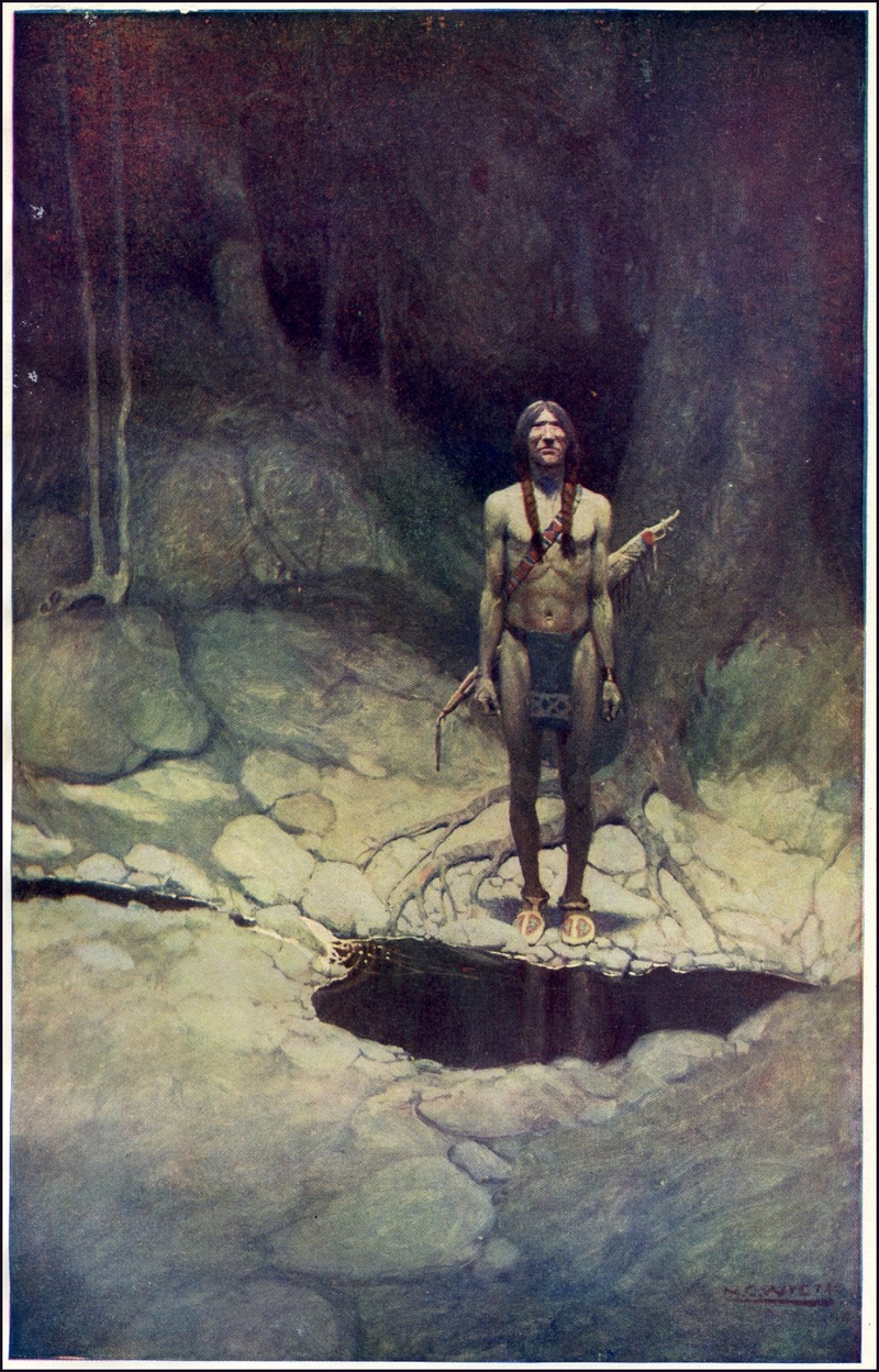 L'Indien dans sa solitude - N. C. Wyeth