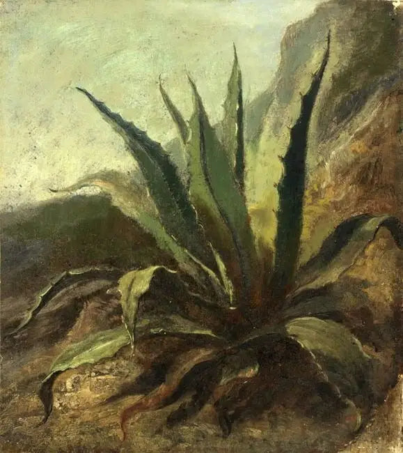 Agave in Morocco - Eugène Delacroix