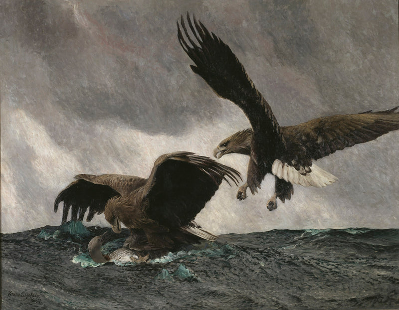 Sea Eagles - Bruno Liljefors
