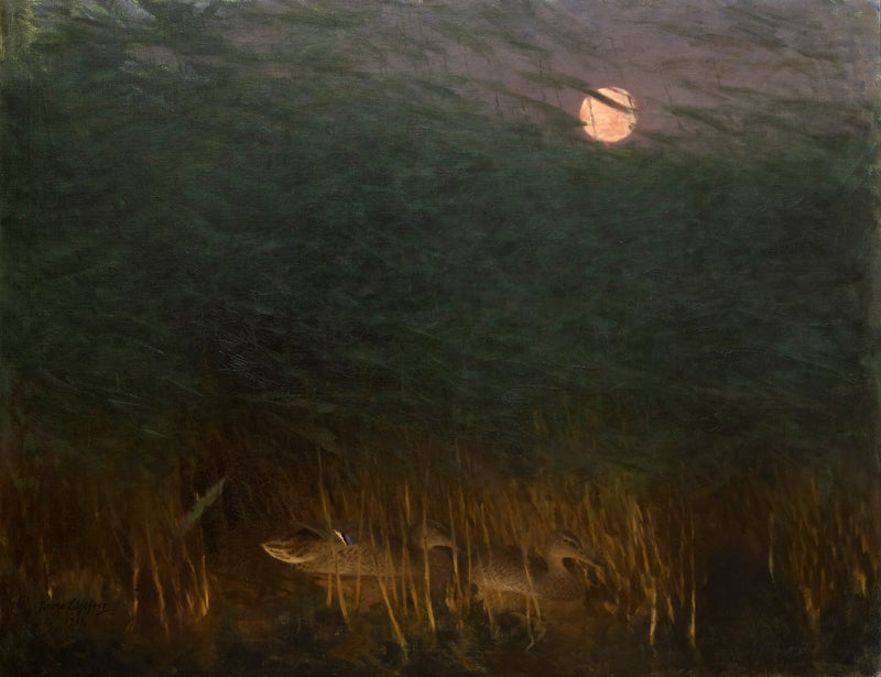 Nighttime atmosphere with wild ducks - Bruno Liljefors