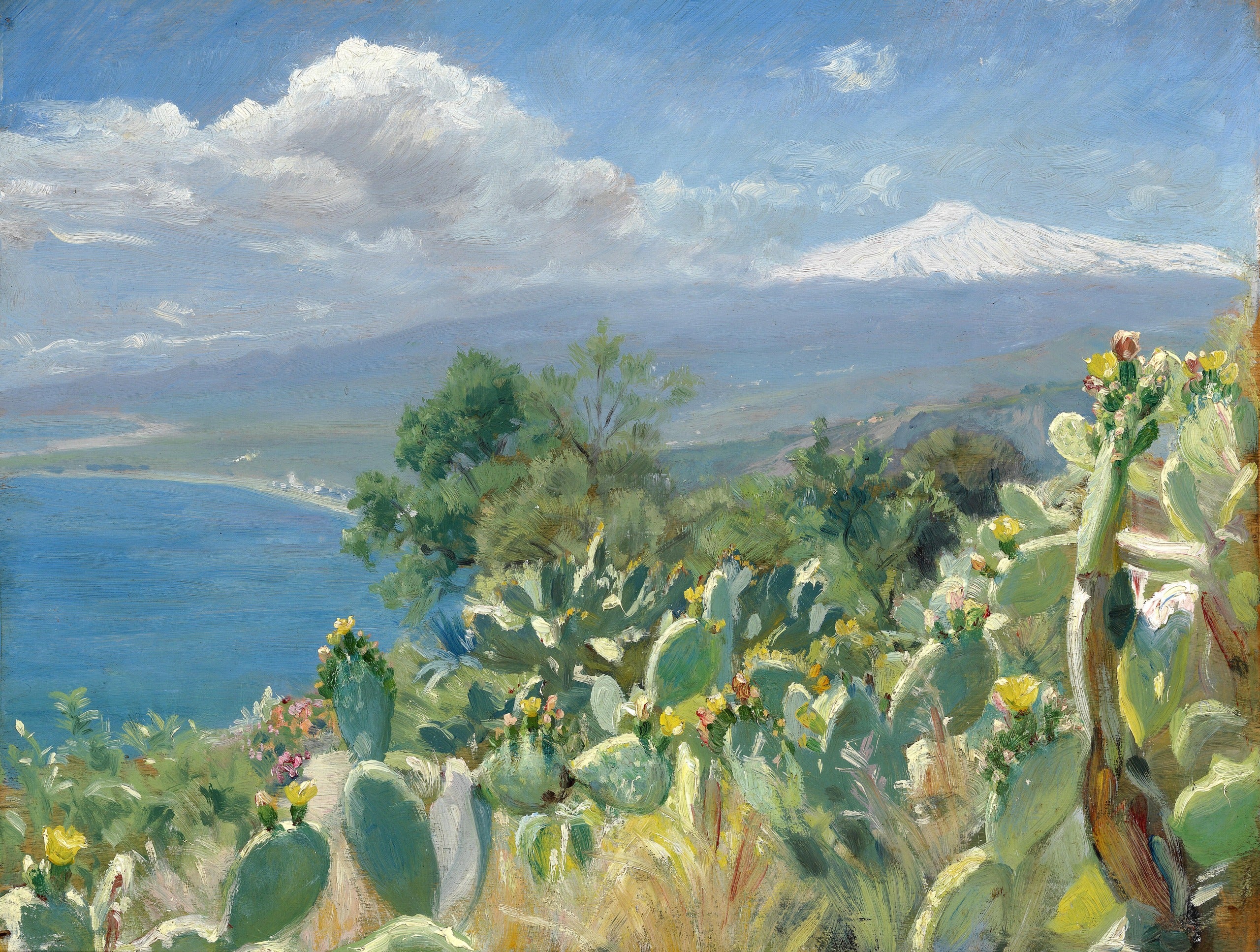 Flourishing cacti near Taormina. In the background, the snow-covered Etna. - Peder Severin Krøyer