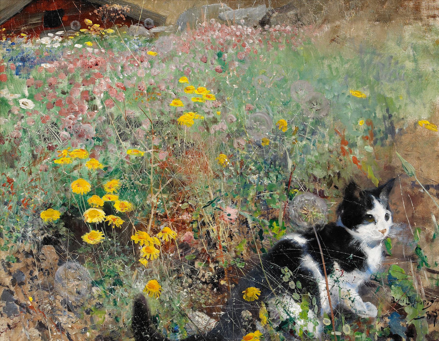 Chat dans une prairie fleurie - Bruno Liljefors