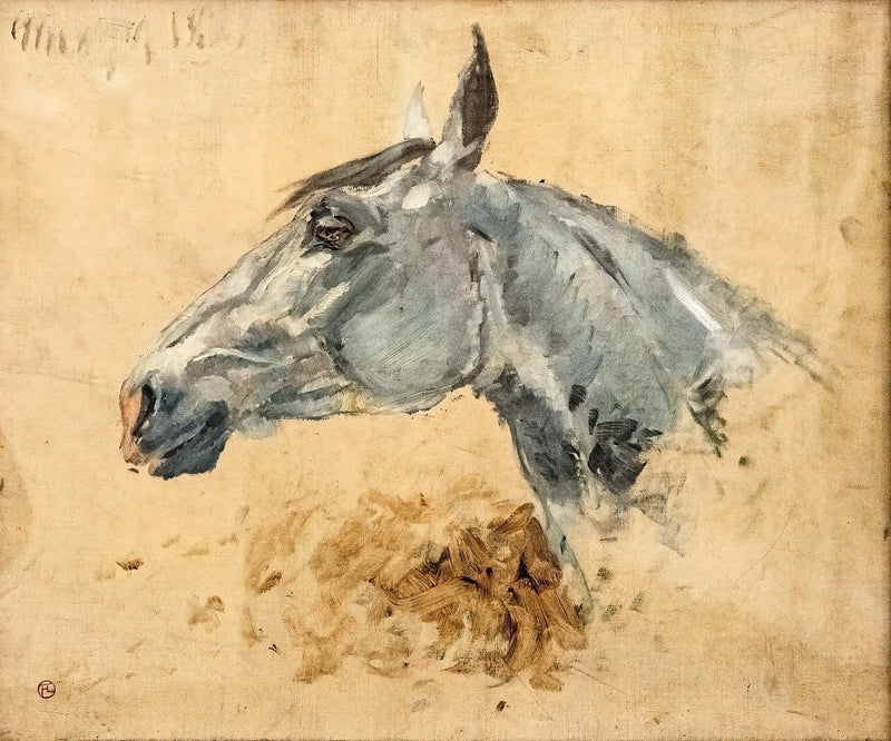White Horse Gazelle - Henri de Toulouse-Lautrec