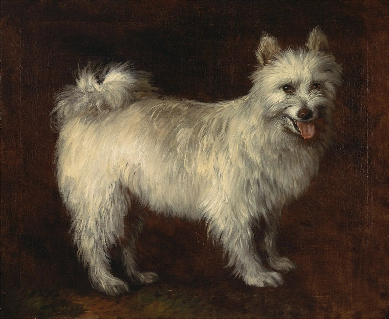 Spitz Dog - Thomas Gainsborough