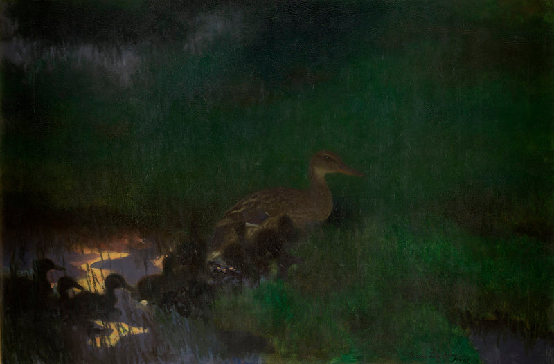 Brood of wild ducks - Bruno Liljefors