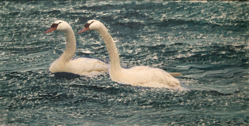 Swans - Bruno Liljefors