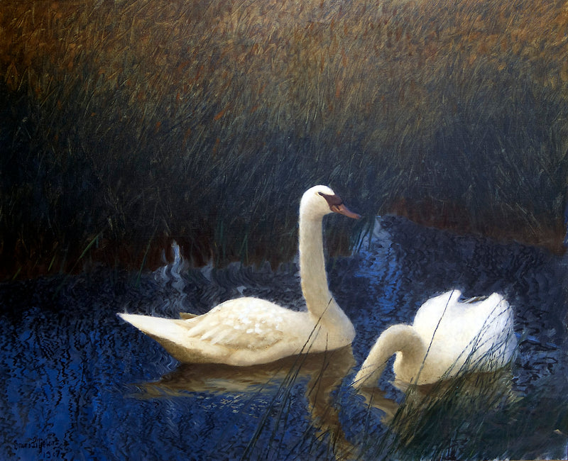 Swans in the Reeds - Bruno Liljefors