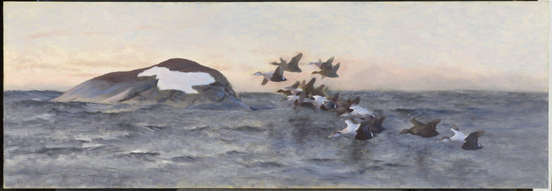 Eiders flying near a cliff - Bruno Liljefors