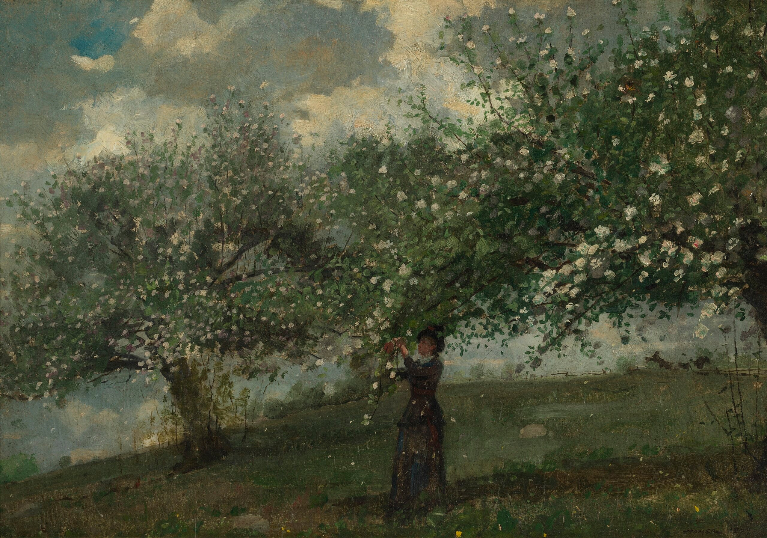 Fille cueillant des fleurs de pommier - Winslow Homer
