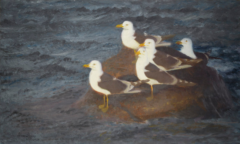 Brown Gulls at rest - Bruno Liljefors