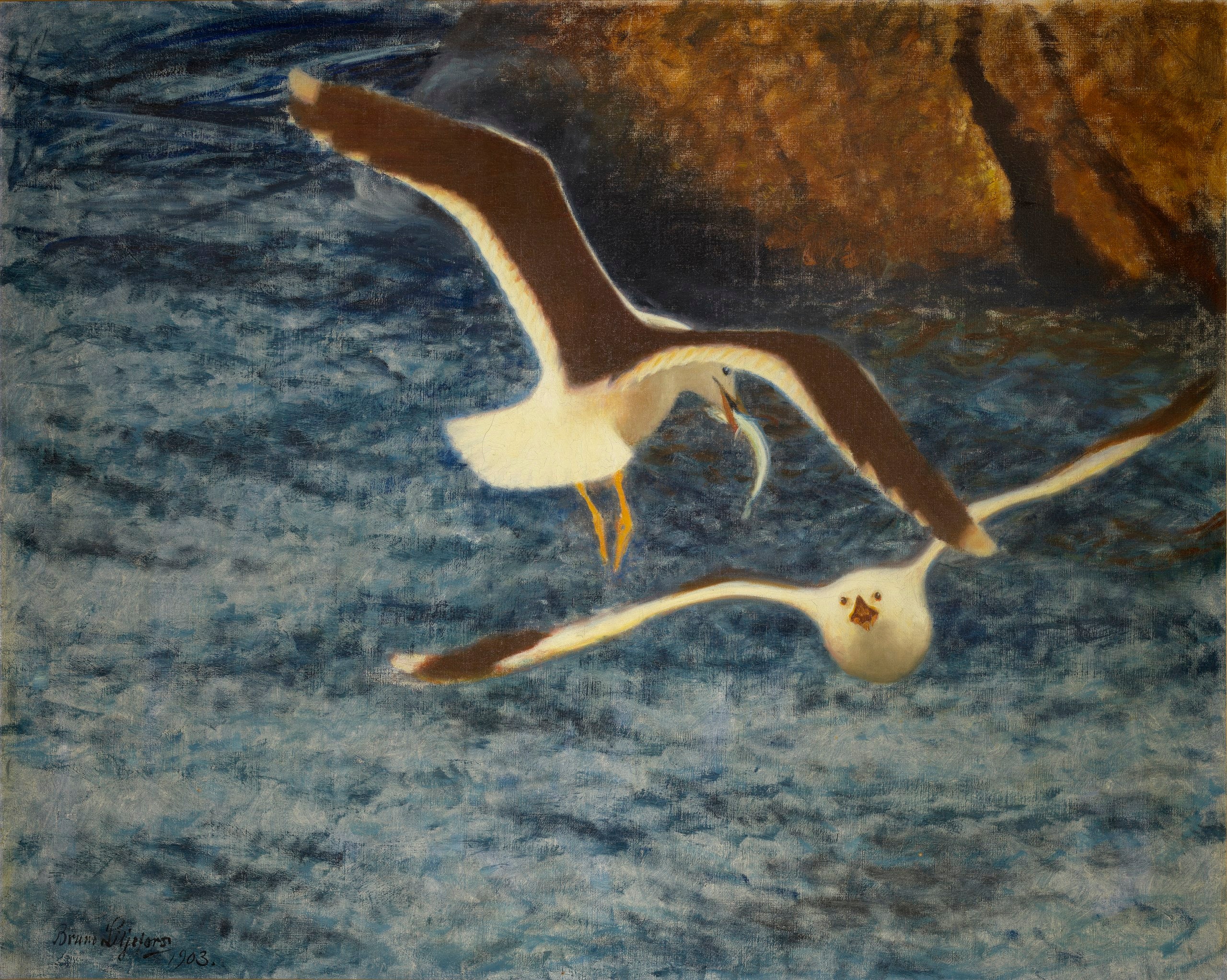 Great-backed gulls in flight - Bruno Liljefors