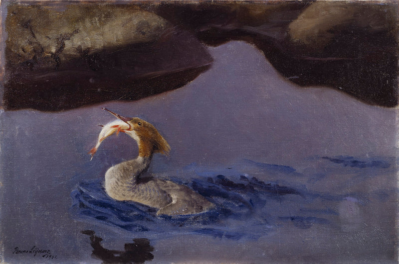 Female Merganser - Bruno Liljefors