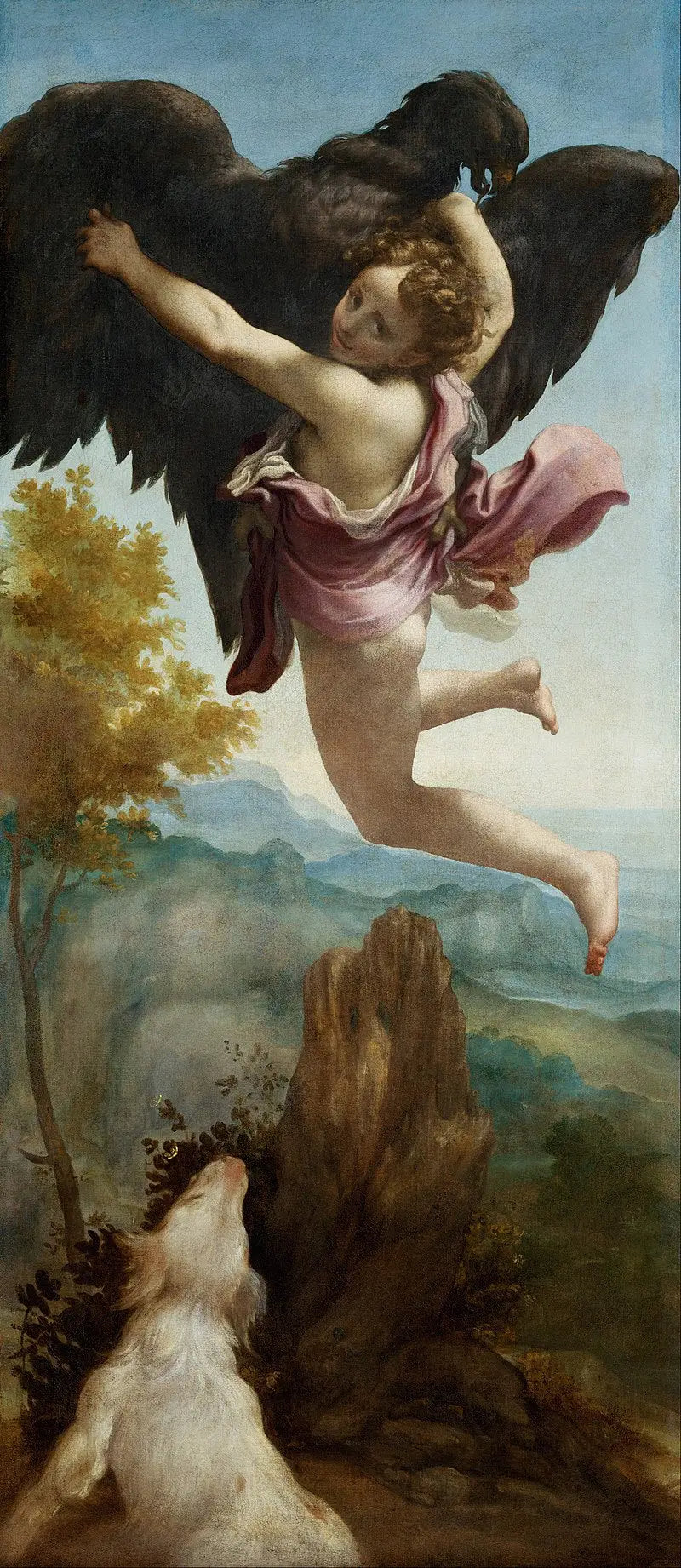 The Abduction of Ganymede - Antonio da Correggio