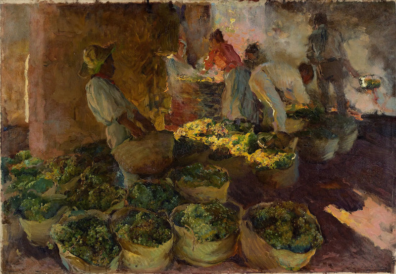 The Preparation of Raisins - Joaquín Sorolla