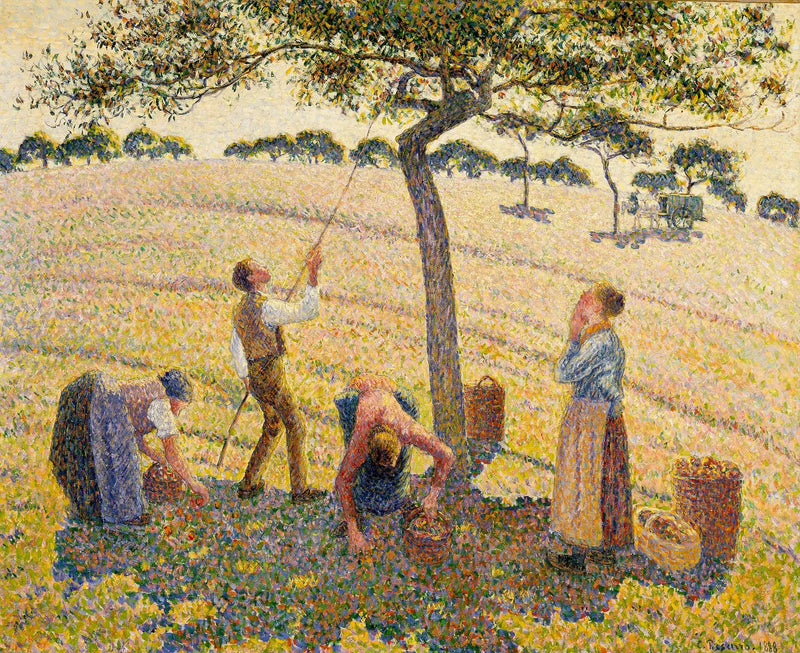 The Apple Harvest at Éragny - Camille Pissarro