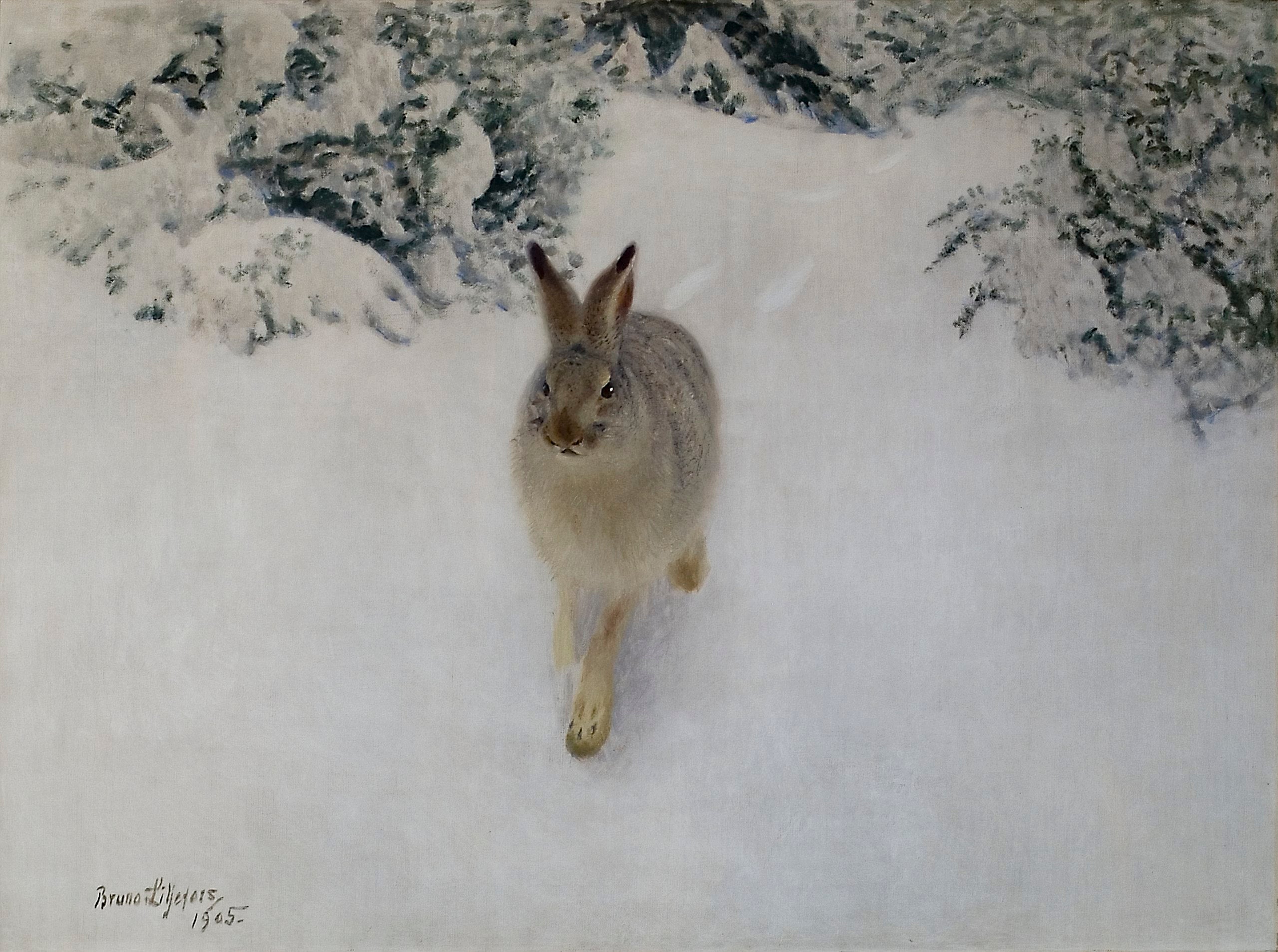 Hare in winter - Bruno Liljefors