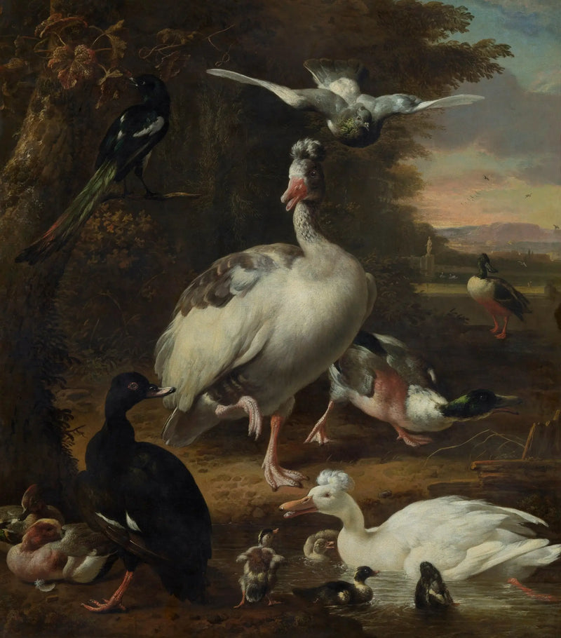 Birds - Melchior de Hondecoeter