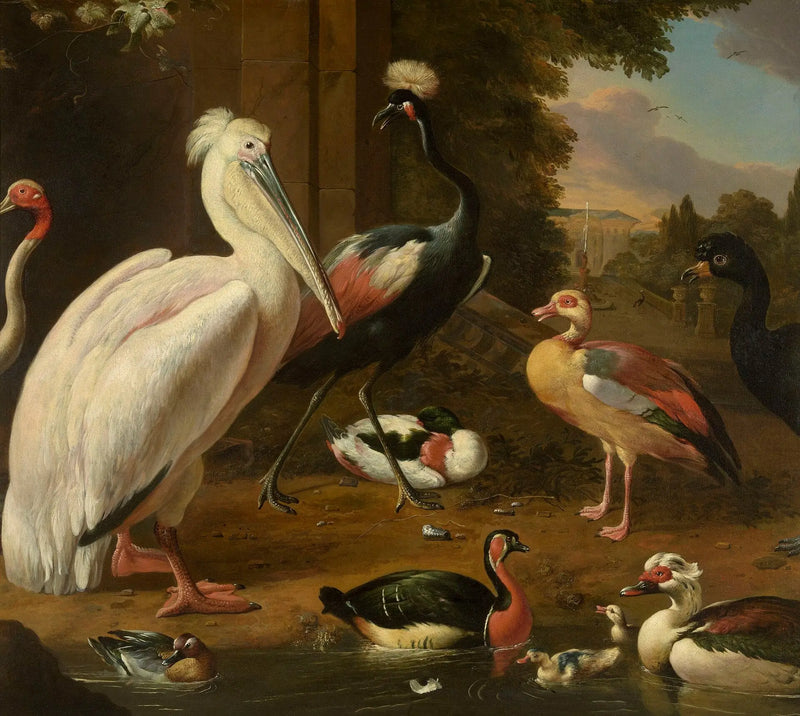 Waterfowl - Melchior de Hondecoeter