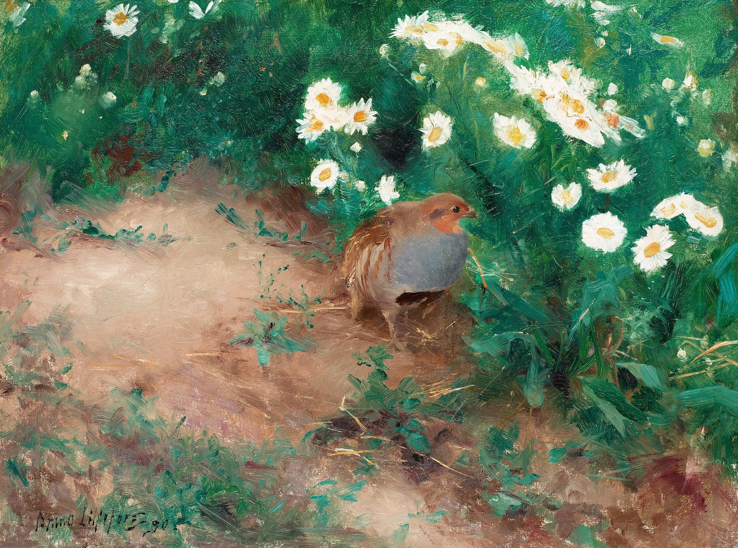 Grey partridge with daisies - Bruno Liljefors