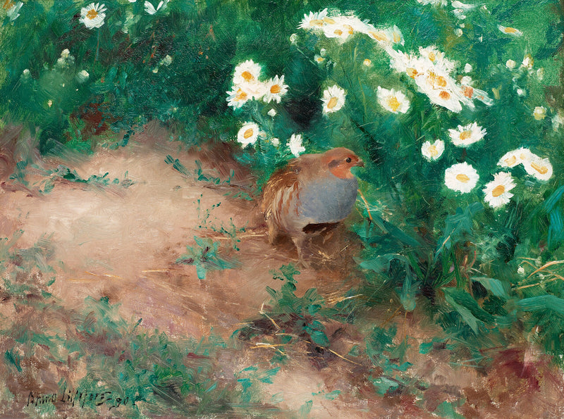 Grey partridge with daisies - Bruno Liljefors