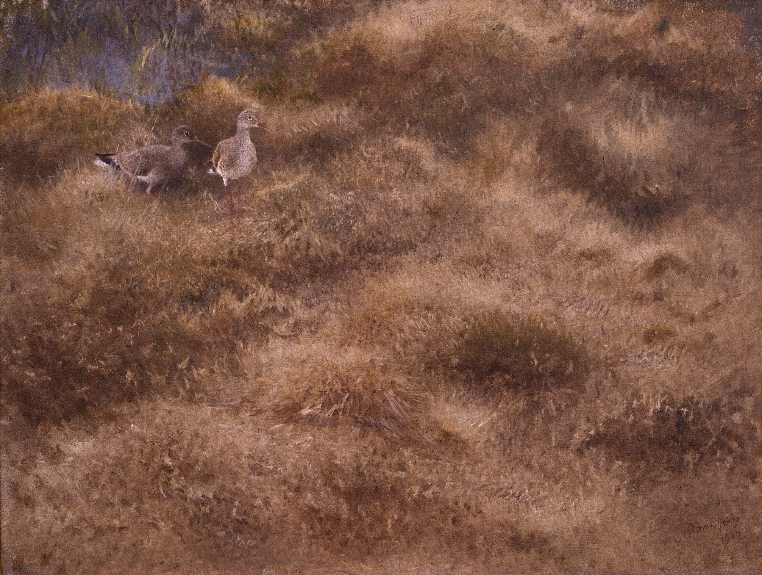 Meadow with sandpipers - Bruno Liljefors