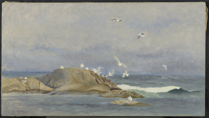 Q43084019 - Bruno Liljefors