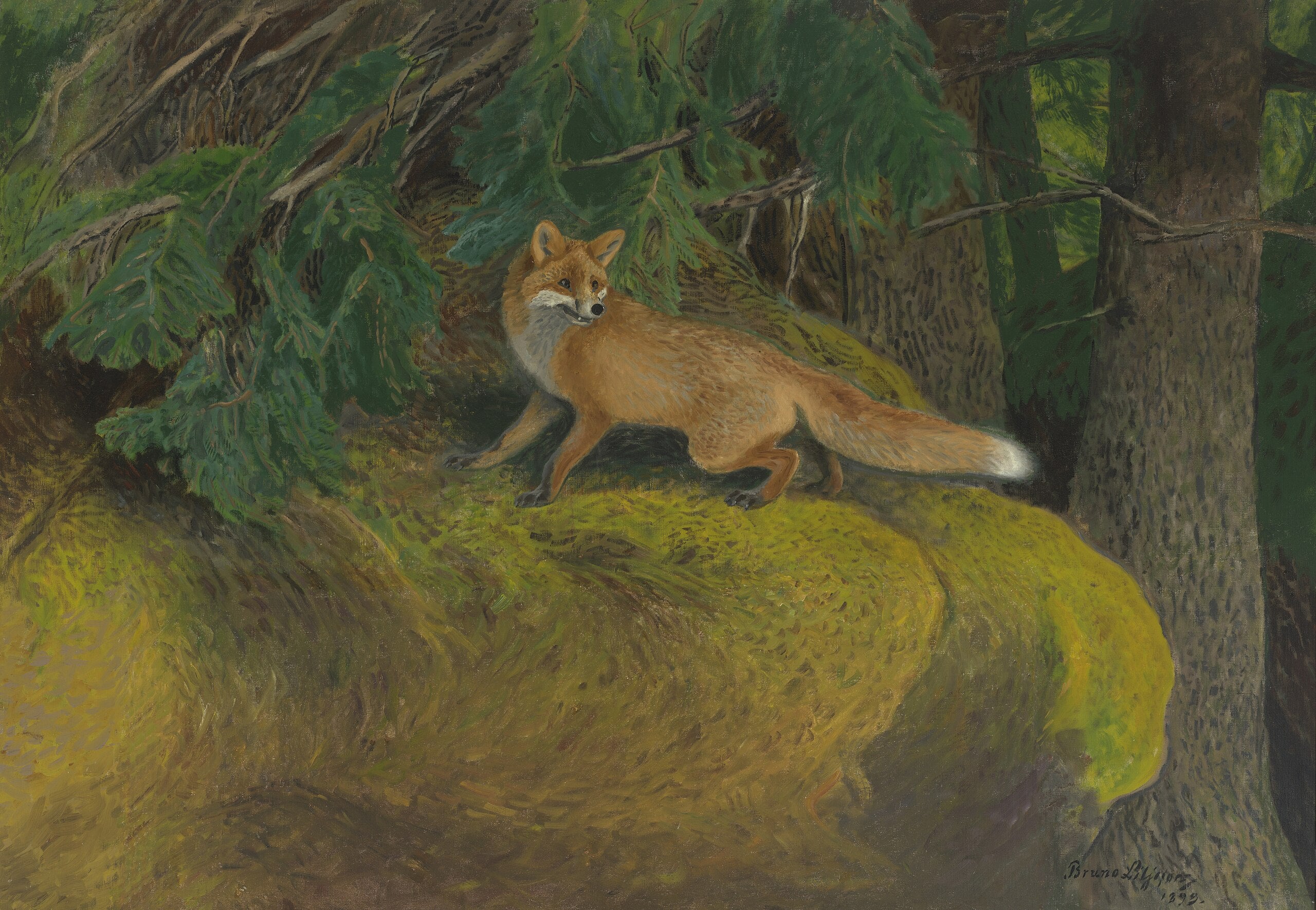 Q43091889 - Bruno Liljefors