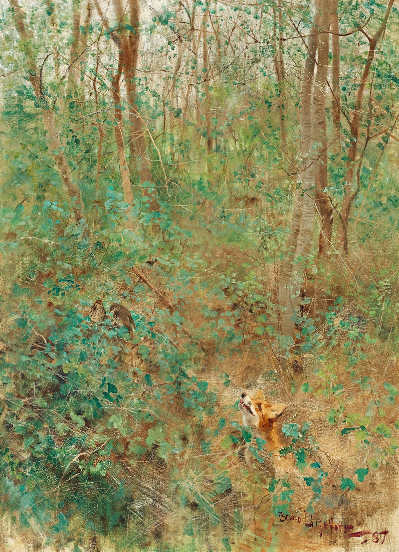 Fox on the lookout for thrushes - Bruno Liljefors
