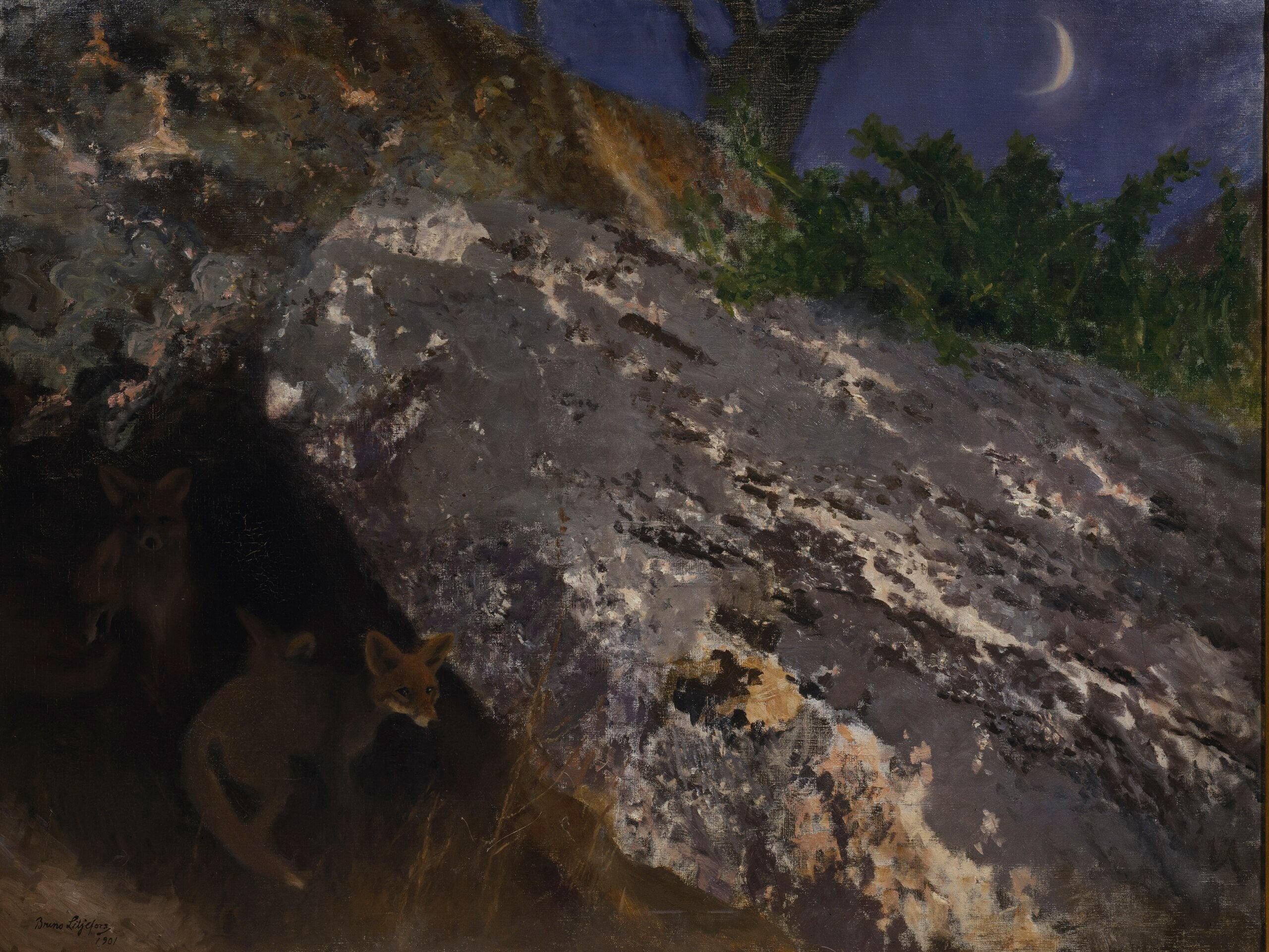 Fox Cubs - Bruno Liljefors