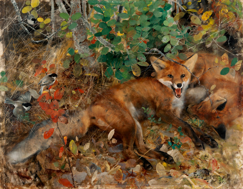 Foxes - Bruno Liljefors