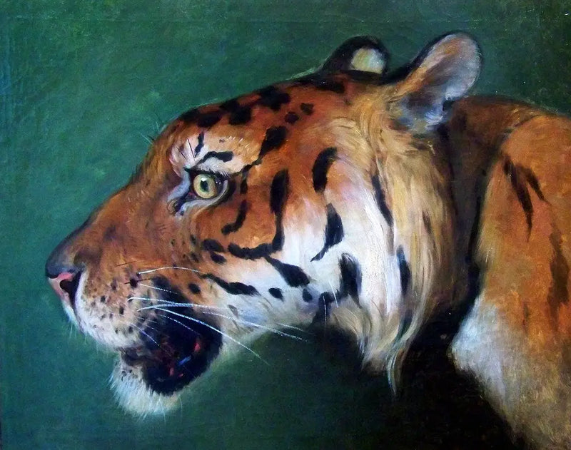 Head of Tiger - Eugène Delacroix