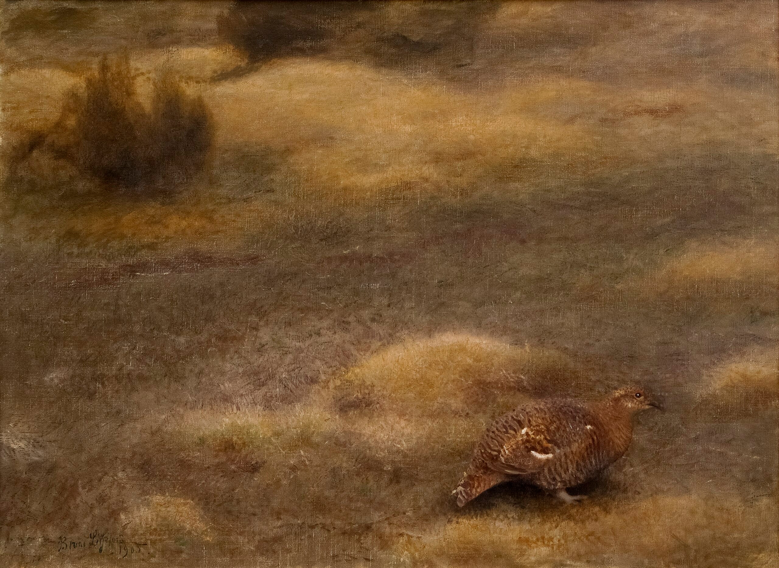 Female grouse - Bruno Liljefors